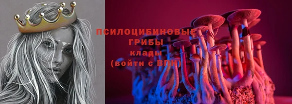 прущие грибы Сосновка