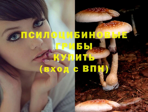 а пвп мука Богданович