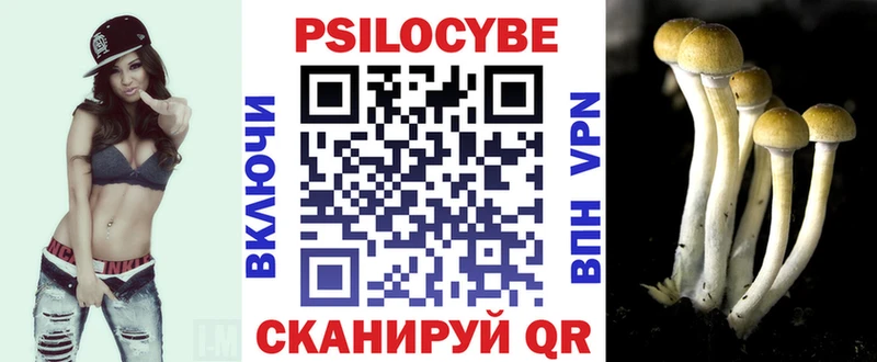 Галлюциногенные грибы прущие грибы  где купить наркоту  hydra сайт  Змеиногорск 